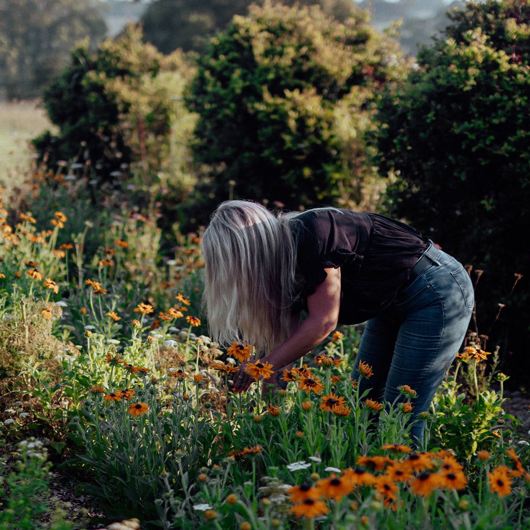 Grow Cut Flowers 5th & 6th September 2025