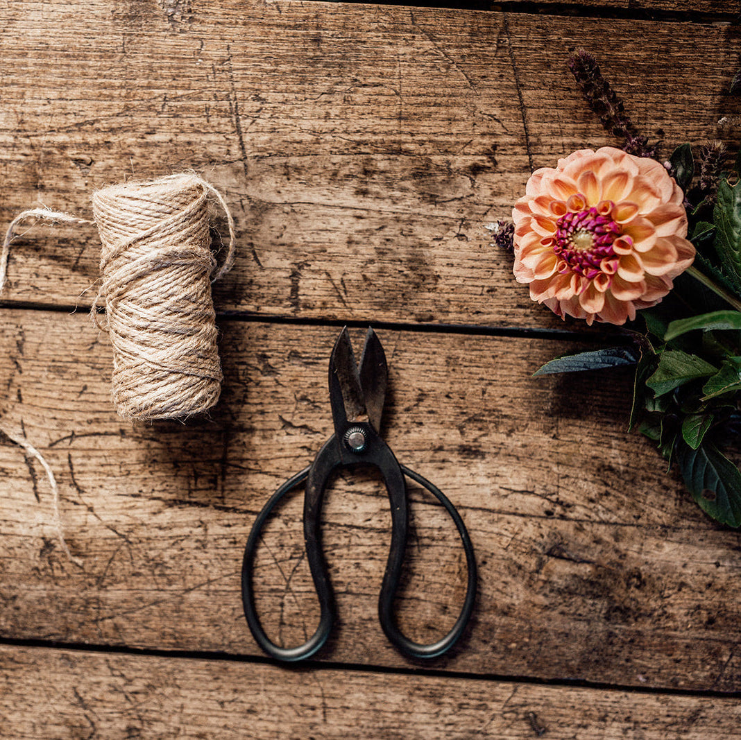 Coffee with Jess - Clarity Session