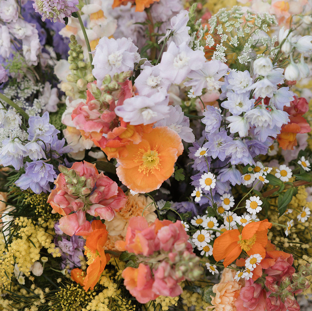 Mentorship Hour - Focused Guidance