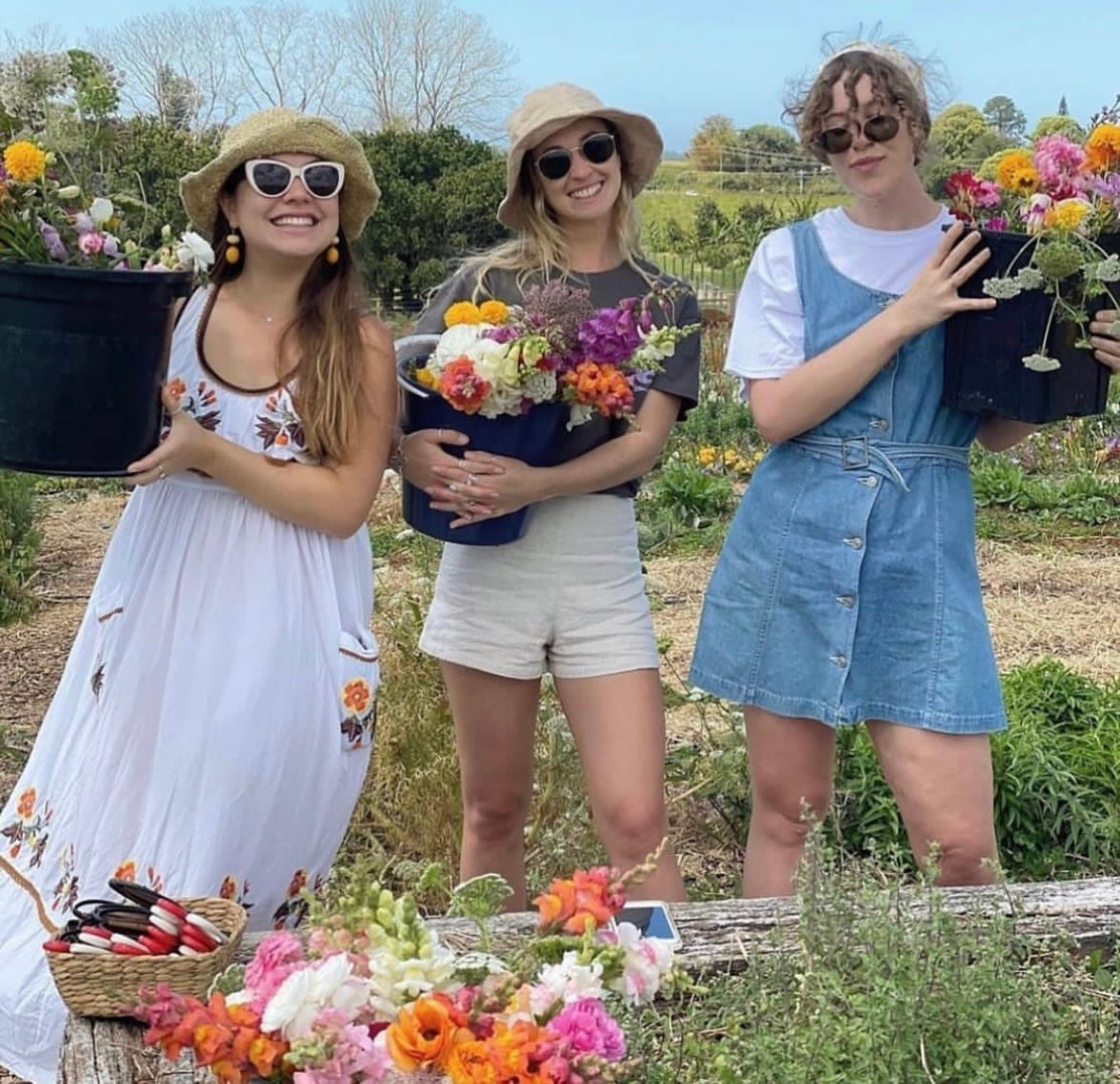Grow Cut Flowers 5th & 6th September 2025