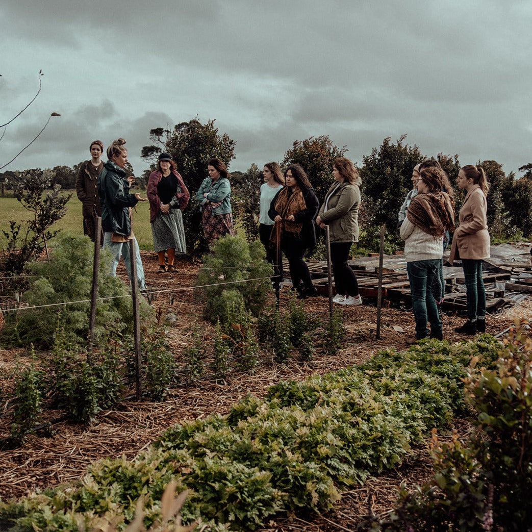 Grow Cut Flowers 5th & 6th September 2025