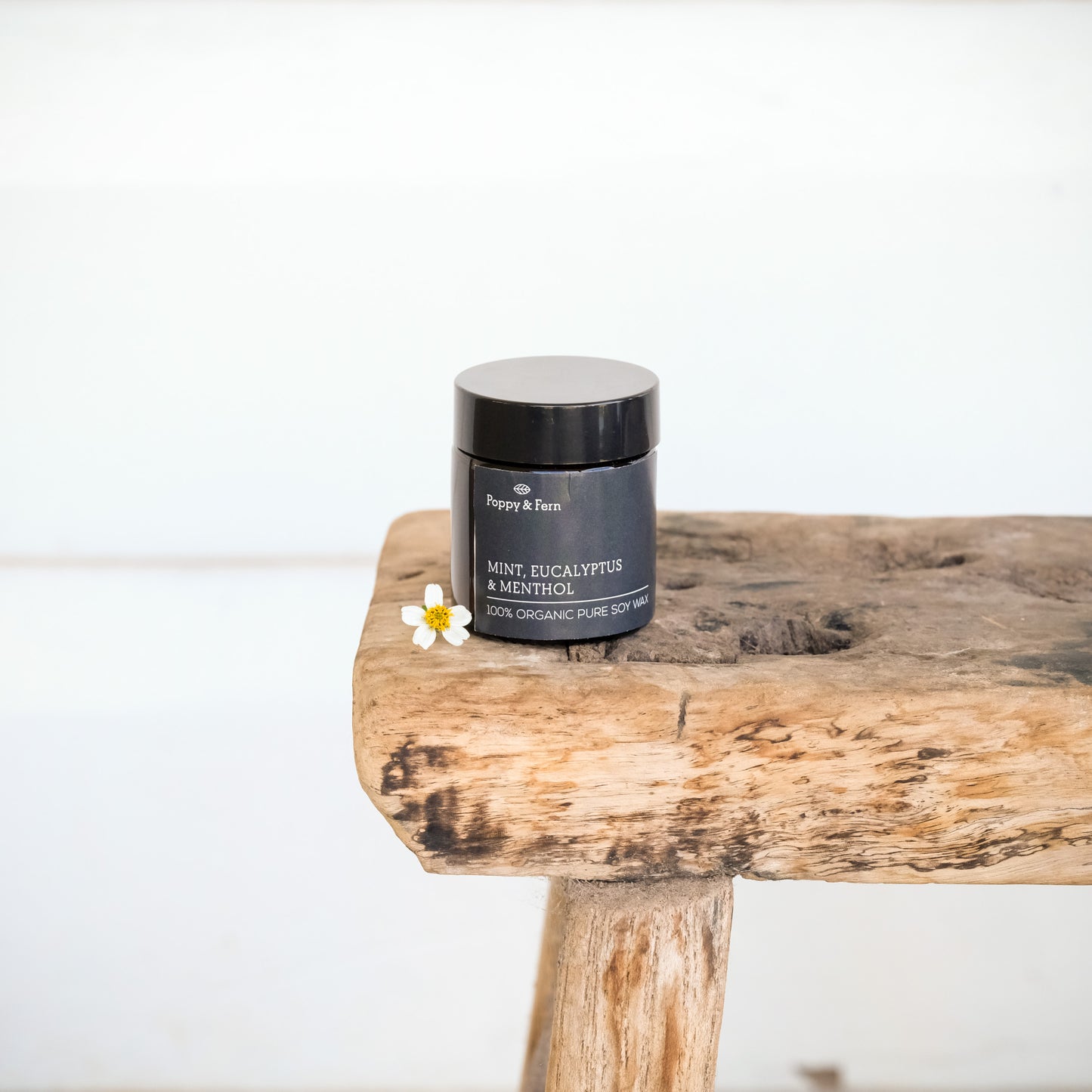 Candle - Mint, Eucalyptus and Menthol