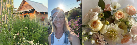 Where Are They Now — Priscilla of Living Farm Australia