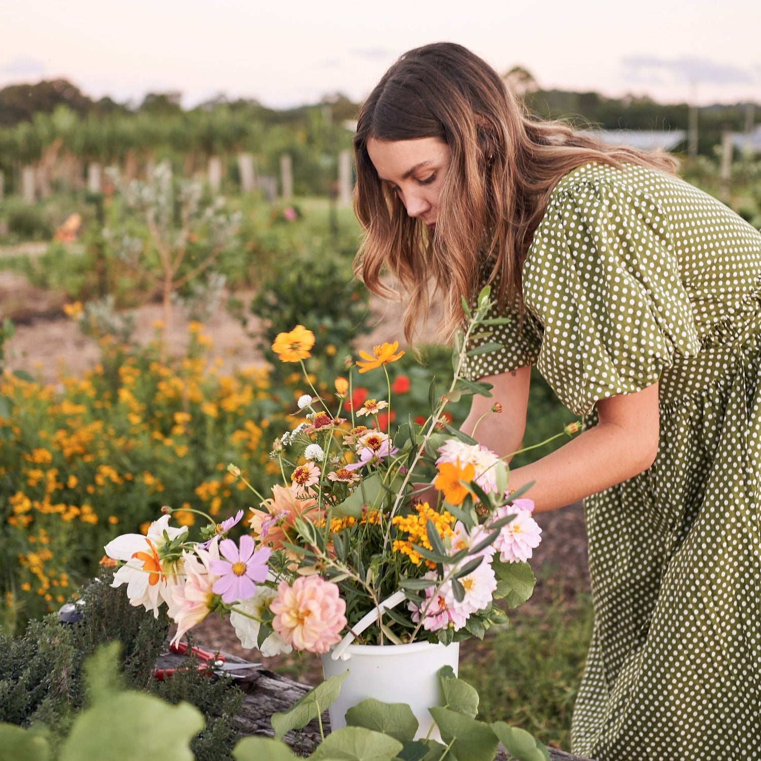 Flower Field Tours