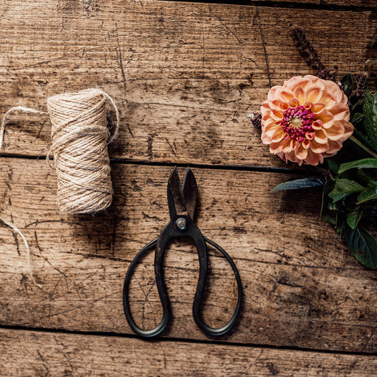 Coffee with Jess - Clarity Session