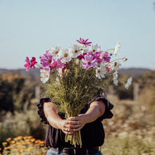 Load image into Gallery viewer, Grow Cut Flowers 21st &amp; 22nd March
