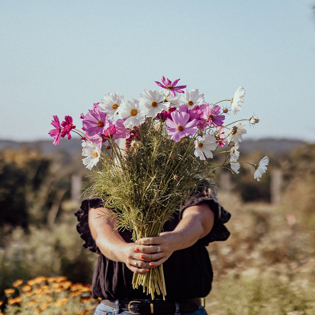 Grow Cut Flowers 5th & 6th September 2025