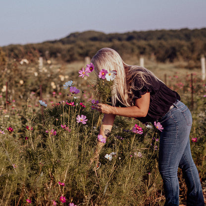 Grow Cut Flowers Summer 16th & 17th October 2026