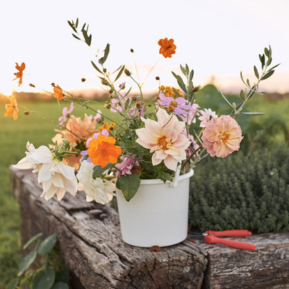 Grow Cut Flowers 5th & 6th September 2025