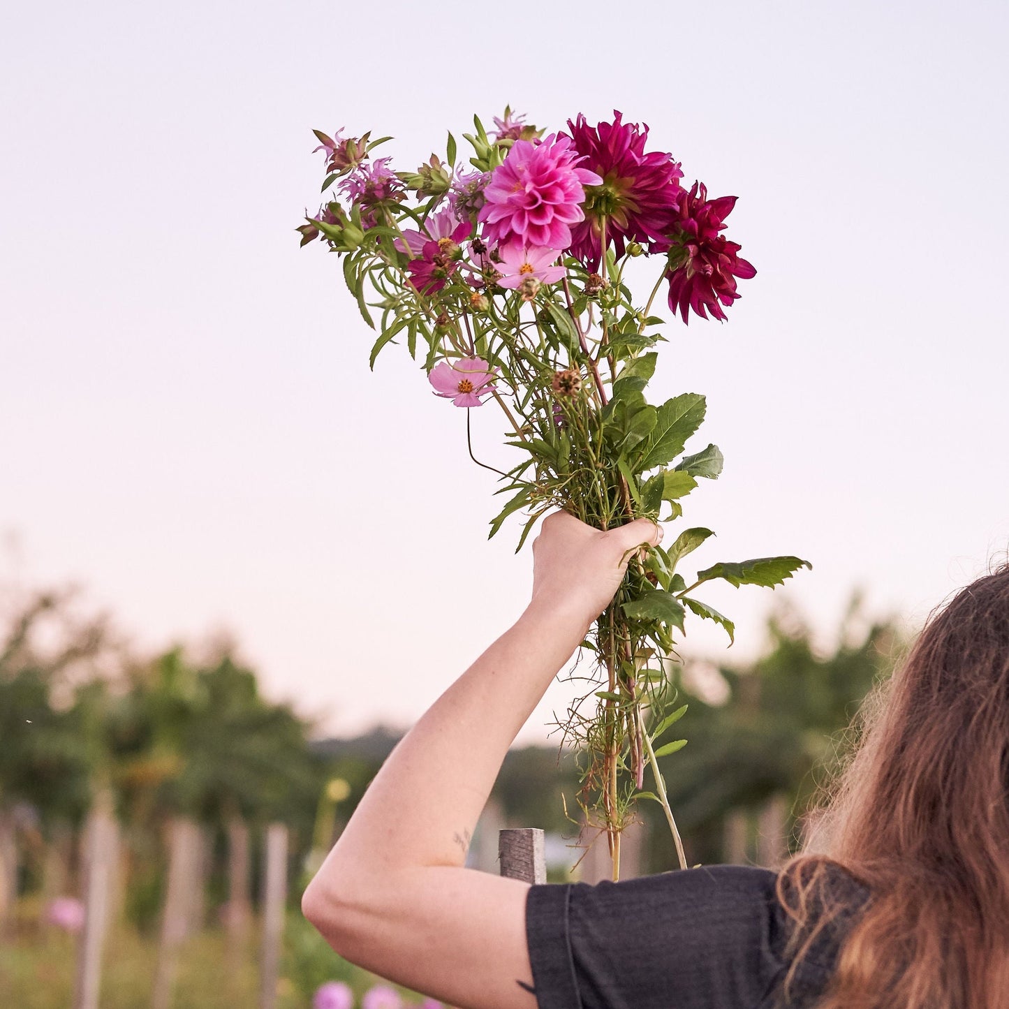 Private Open Field  Session