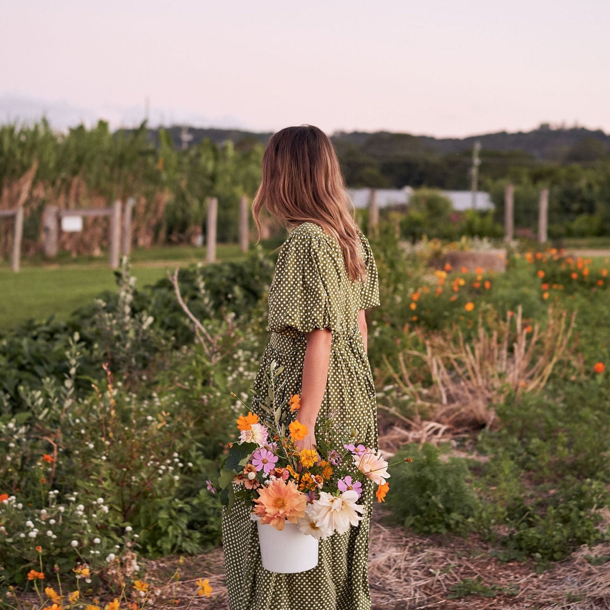 Sunset in the Flower Field