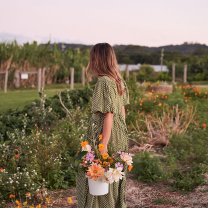 Sunset in the Flower Field