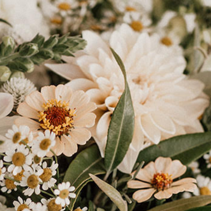 Table Arrangement – Petit Size