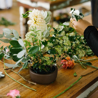 Floral Design Series - Beginner (Retail) Start July 24th 2025